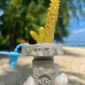 Eco Day Trip (Private Charter)